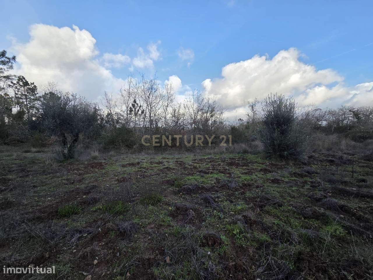 Terreno Rústico 27.000 m² || Alvorge || Ansião - Grande imagem: 5/15