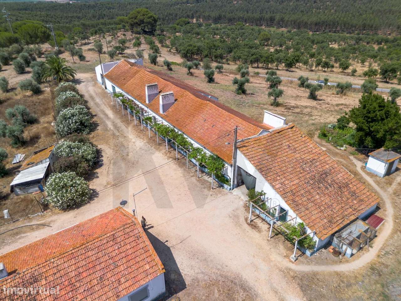 HERDADE de Vale de Alcácer, um paraíso de oportunidades e rentabilidad - Grande imagem: 3/60