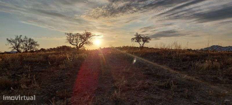 Prédio Rústico - Cerca das Almas - Grande imagem: 5/8