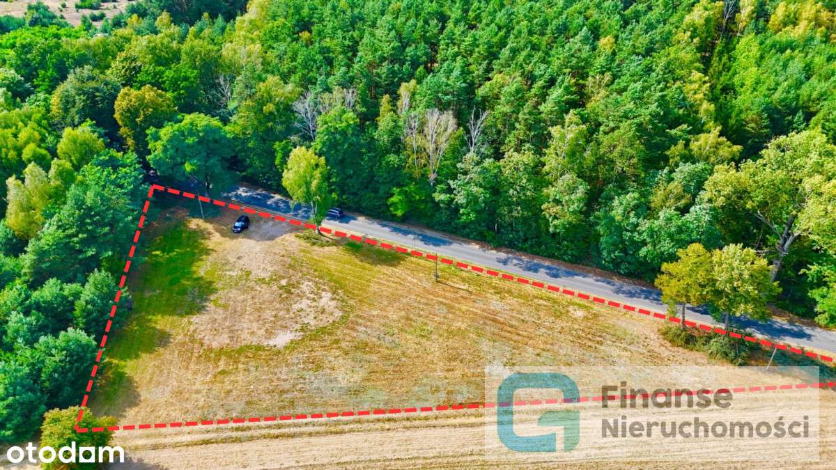 Działka budowlana 3800 m² – Nowe Byliny - Pełny obrazek: 5/9