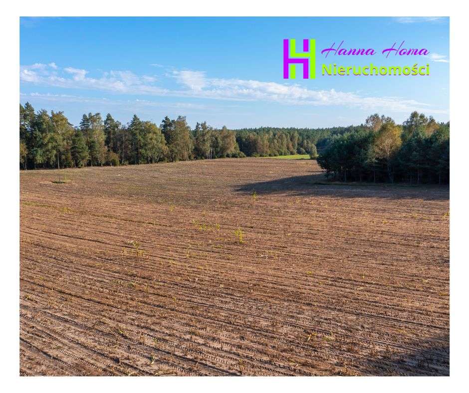 Działka o dużej powierzchni, warunki zabudowy,  Jonki, gmina Konarzyny - Pełny obrazek: 5/12