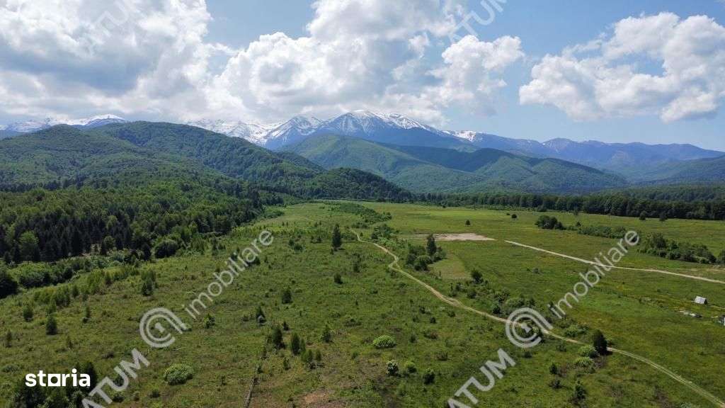 Teren extravilan 8400 mp de vanzare pe Valea Avrigului - Imagine principală: 1/4