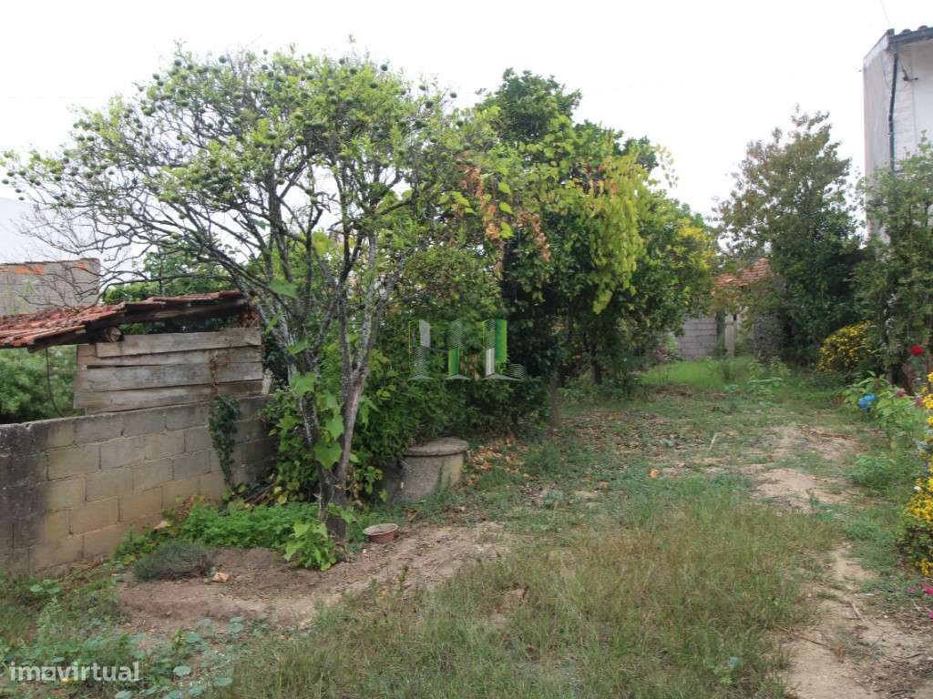 Terreno Rústico no Carqueijo (possibilidade de converter em urbano) - Grande imagem: 5/12