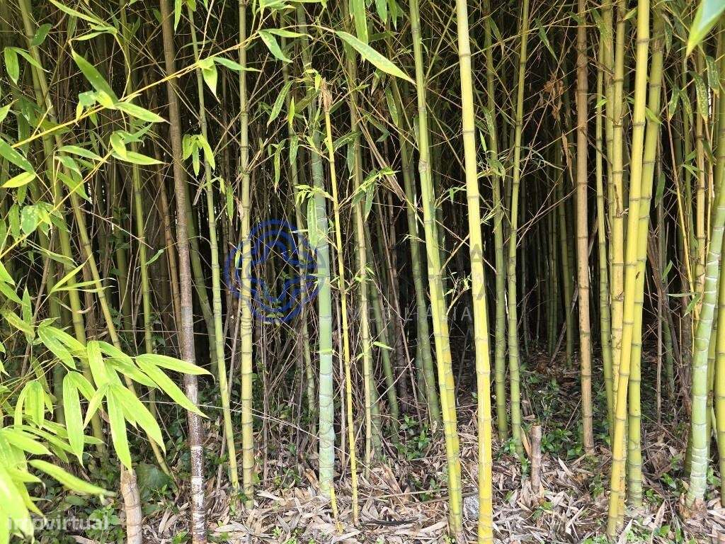 Terreno Urbanizável com 3.500 m2 para Construção – Santo Tirso - Grande imagem: 4/19