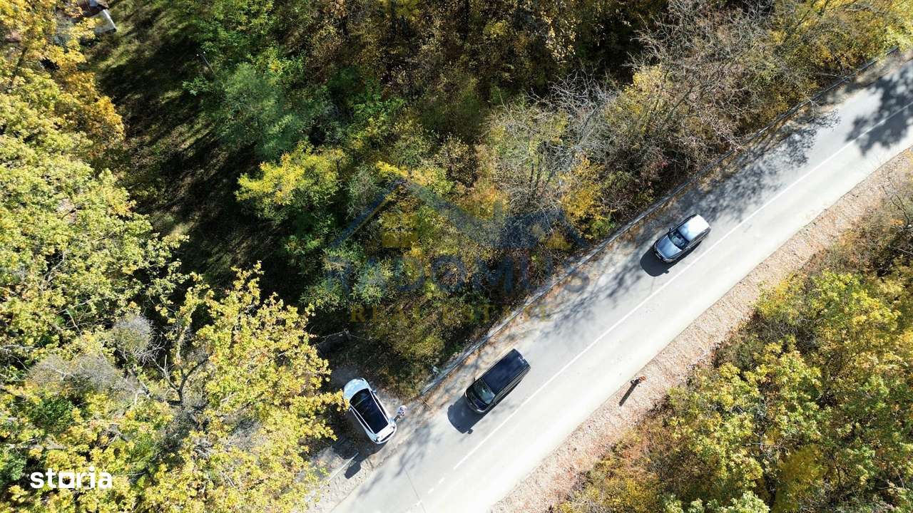 TEREN INTRAVILAN ÎN PĂDURE LA VĂRBILA - PRAHOVA – COMISION 0% - Imagine principală: 4/8