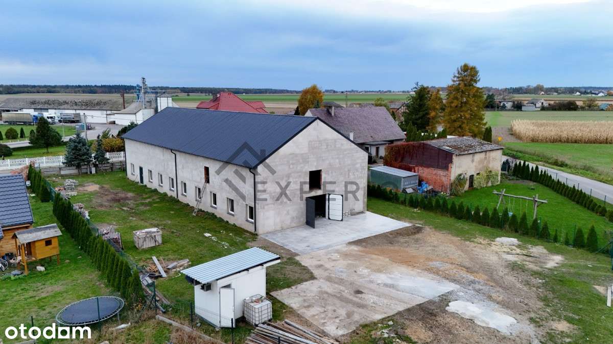 Hala magazynowa, produkcyjna, blisko S11 - Pełny obrazek: 4/14