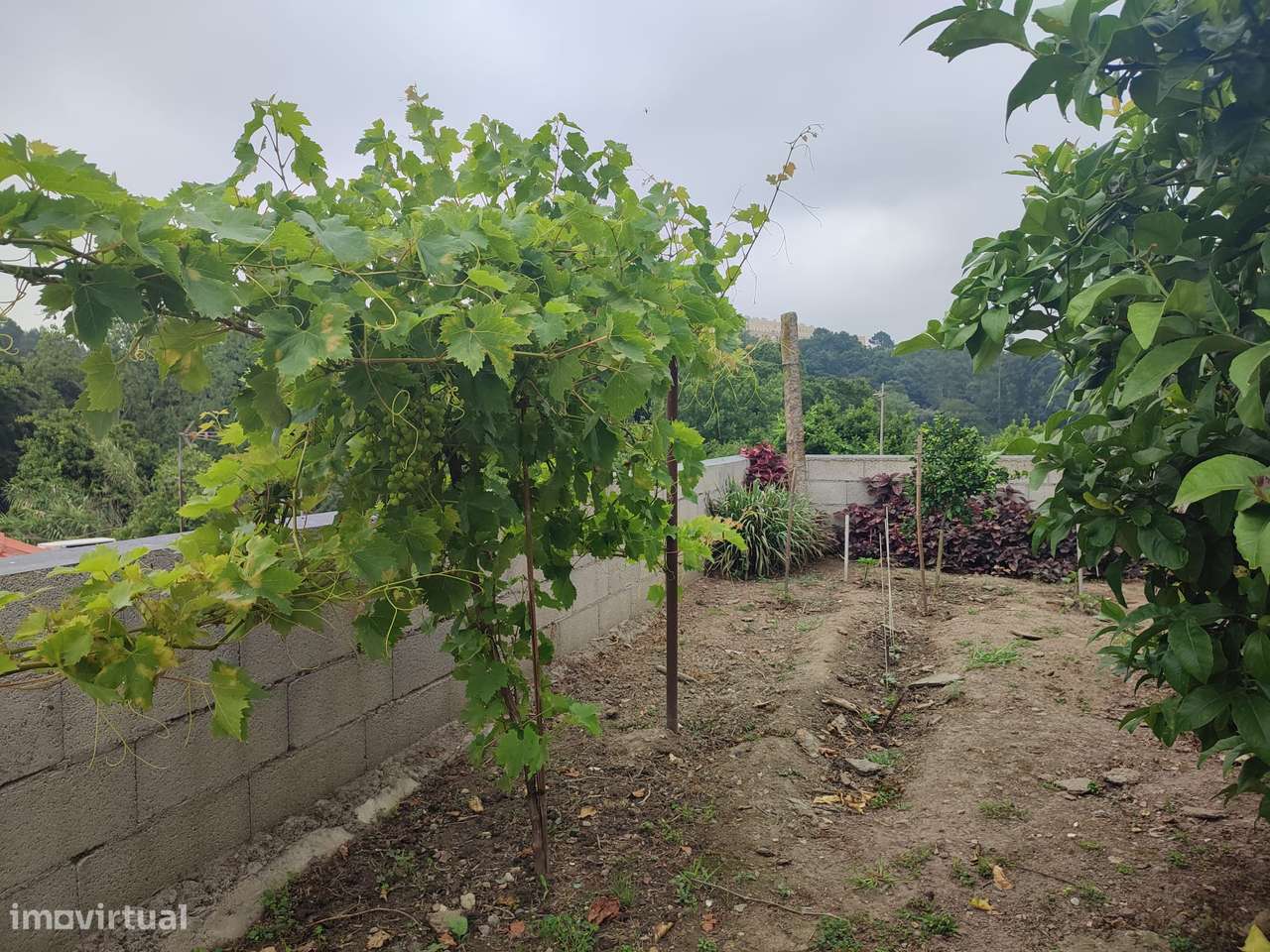 4 casas com tipologias T1, em terreno de  692m2,  à Marina do Freixo-32