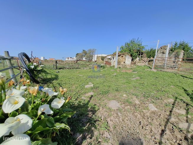 Terreno urbano com 15.867 m2 em Cela, Alcobaça,  e ruína de 336,30 m2-17