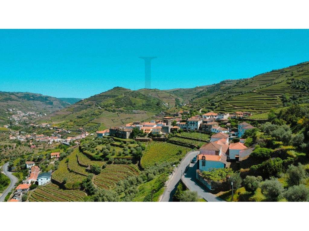 Casa Senhorial Brasonada do Século XVIII na Região do Douro-5