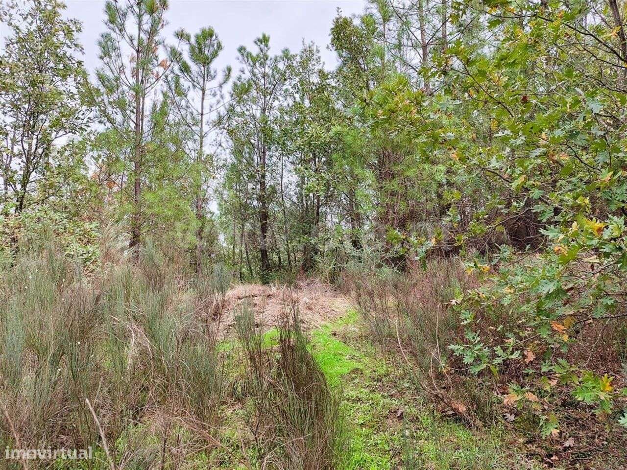 Terreno / Fundão, Póvoa da Atalaia - Grande imagem: 4/14