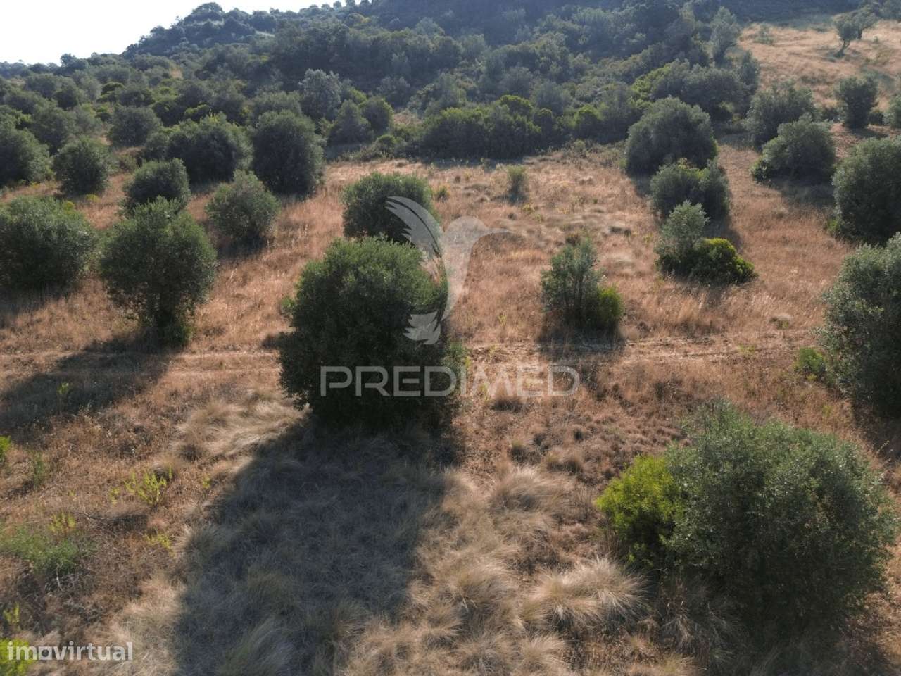 Terreno Rústico com 3.340 m² – Troviscal, Alcanena - Grande imagem: 4/24