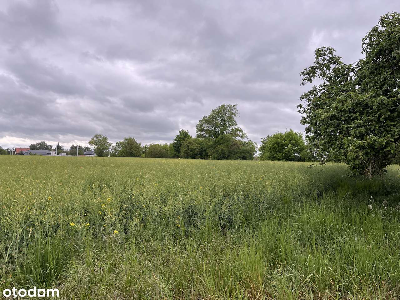 Ogrodowa 19, dom wolnostojący na dużej działce, pełne media!od zaraz!-19