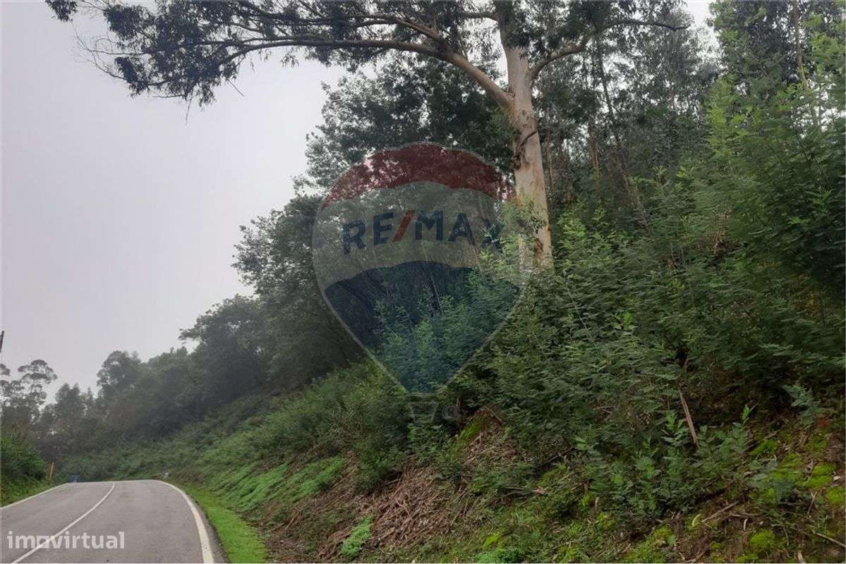 Terreno para construção em Antanhol - Grande imagem: 2/4