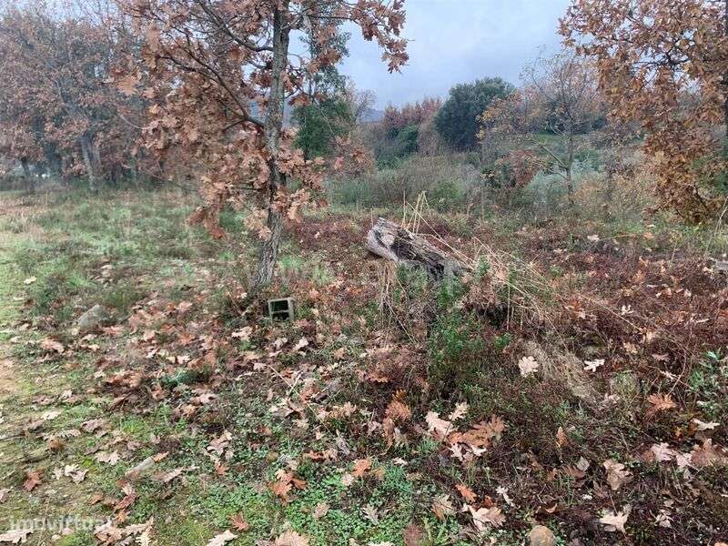 Terreno / Fundão, Aldeia de Joanes - Grande imagem: 4/8