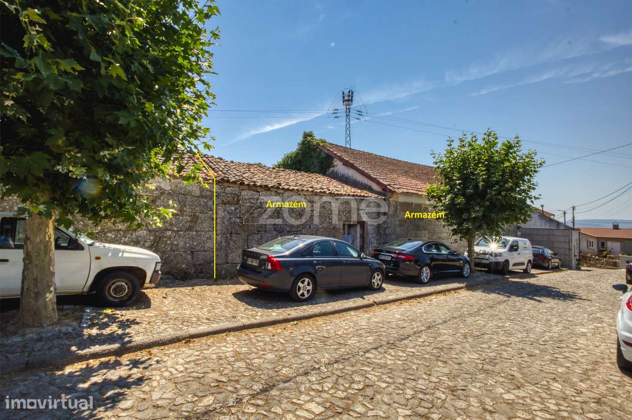 Moradia c/9 divisões, vinha e armazém em Lugar de São Gonçalo, Fava...-43