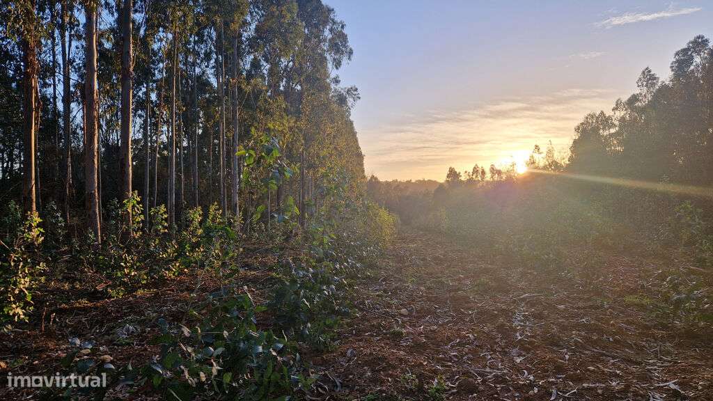 Venda Terreno - Grande imagem: 5/5