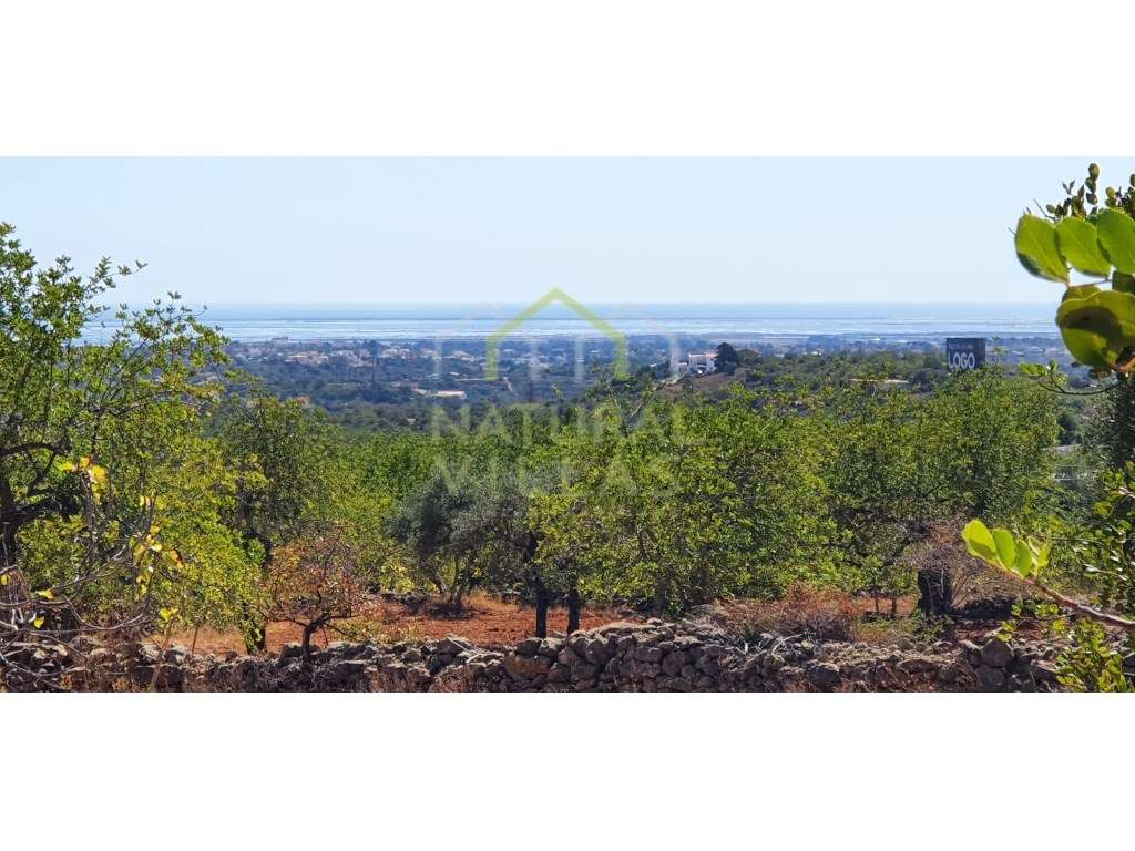 Terreno Misto com Vista Mar Desafogada em Estoi - Grande imagem: 5/8