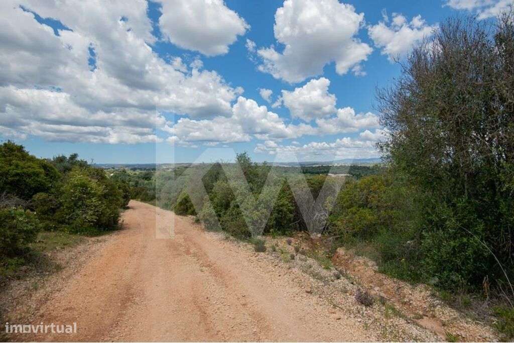 Terreno Rústico - mar a 2,5 kms - Grande imagem: 5/9