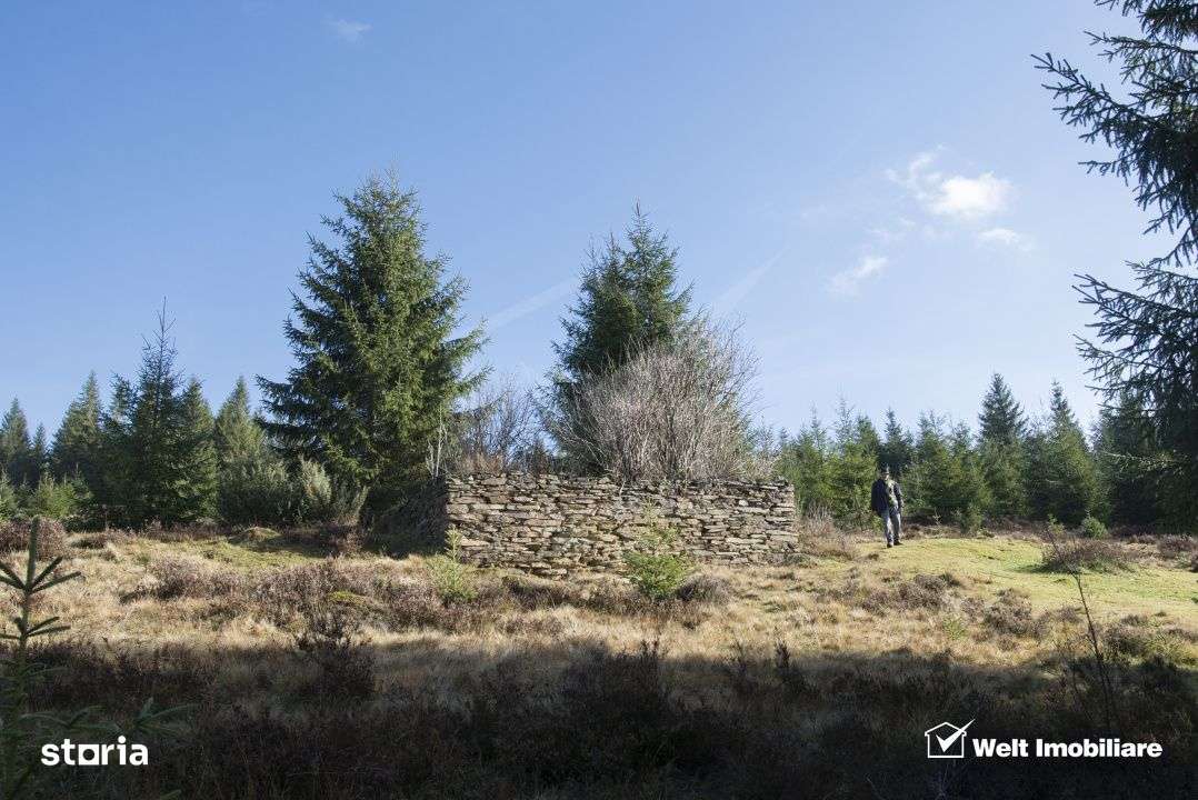 Se vinde teren cat un munte in Apuseni - Poiana Horea-6