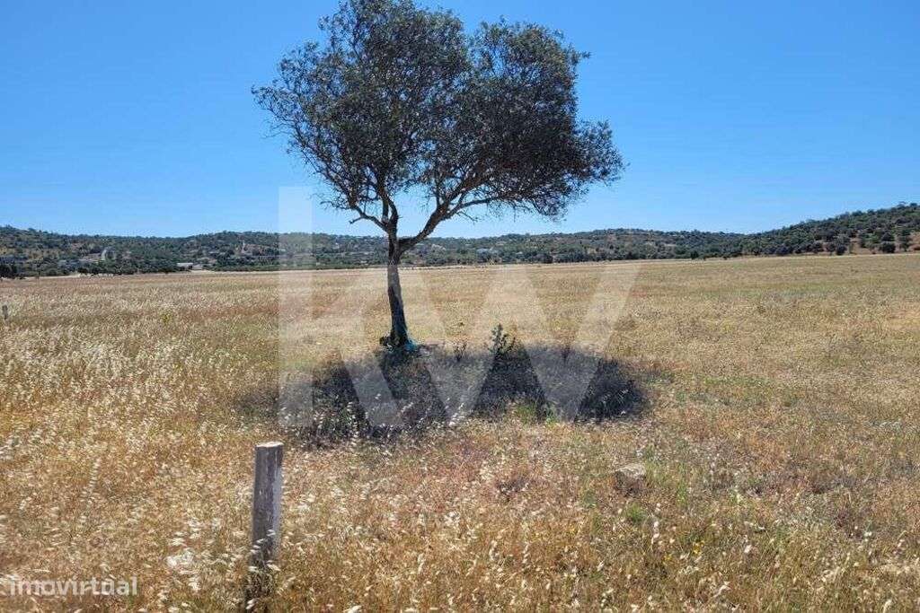 TERRENO RÚSTICO EM TUNES - Grande imagem: 4/13