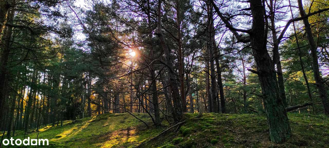 Działka budowlana na dom/pensjonat 1769m² m. Żarnowska/ k. Łeby FV-6