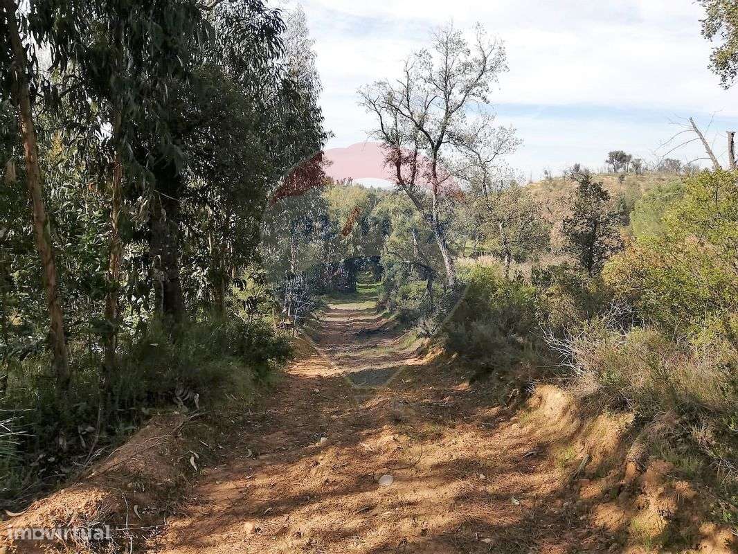 Moradia T3 para venda - Grande imagem: 5/7