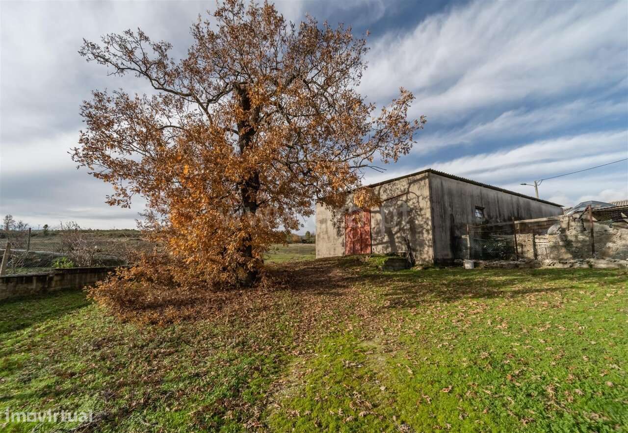 Quinta T5 / Guarda, Vela - Grande imagem: 4/20