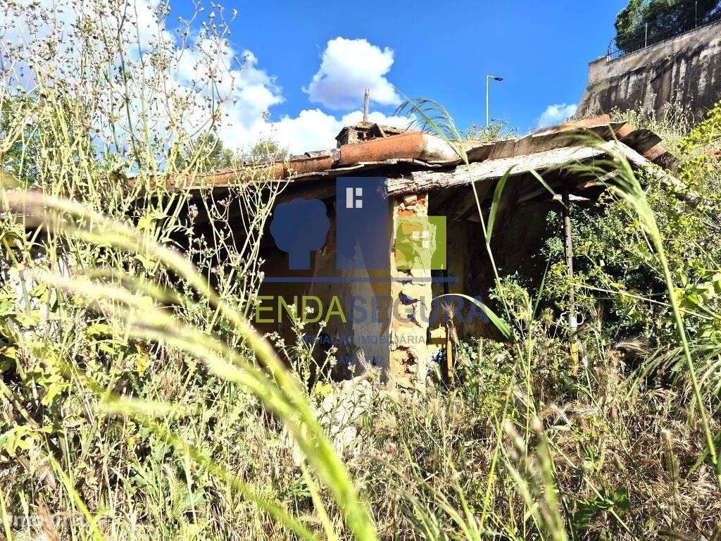 Prédio  Misto, com 0,7250 Ha | MOURA-5