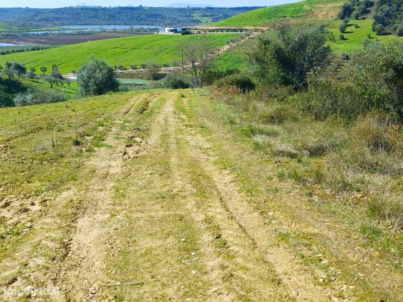 Terreno Rústico com 2 hectares - Grande imagem: 4/9