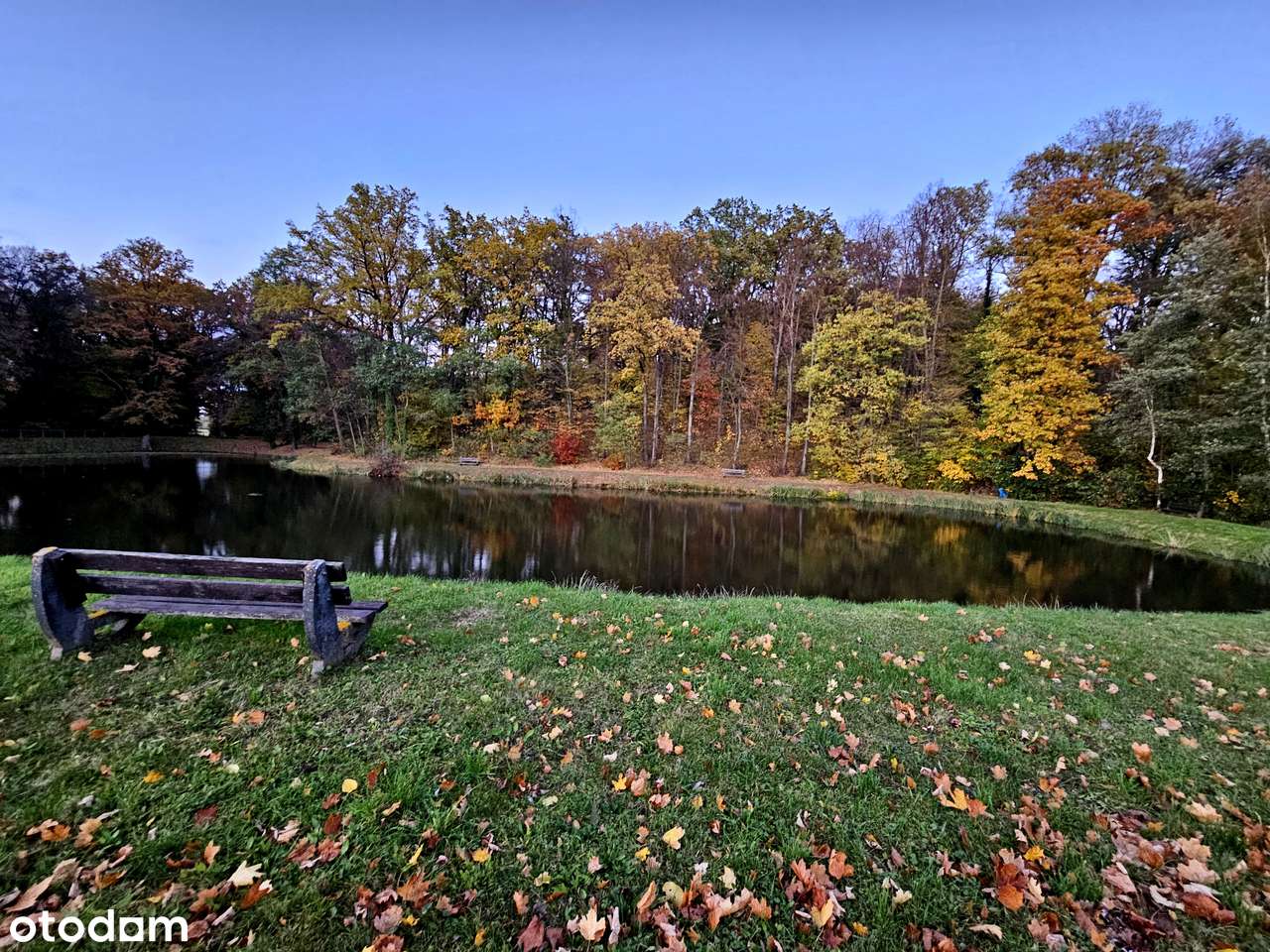 Działka 13 arowa - Stara Rudna.-3