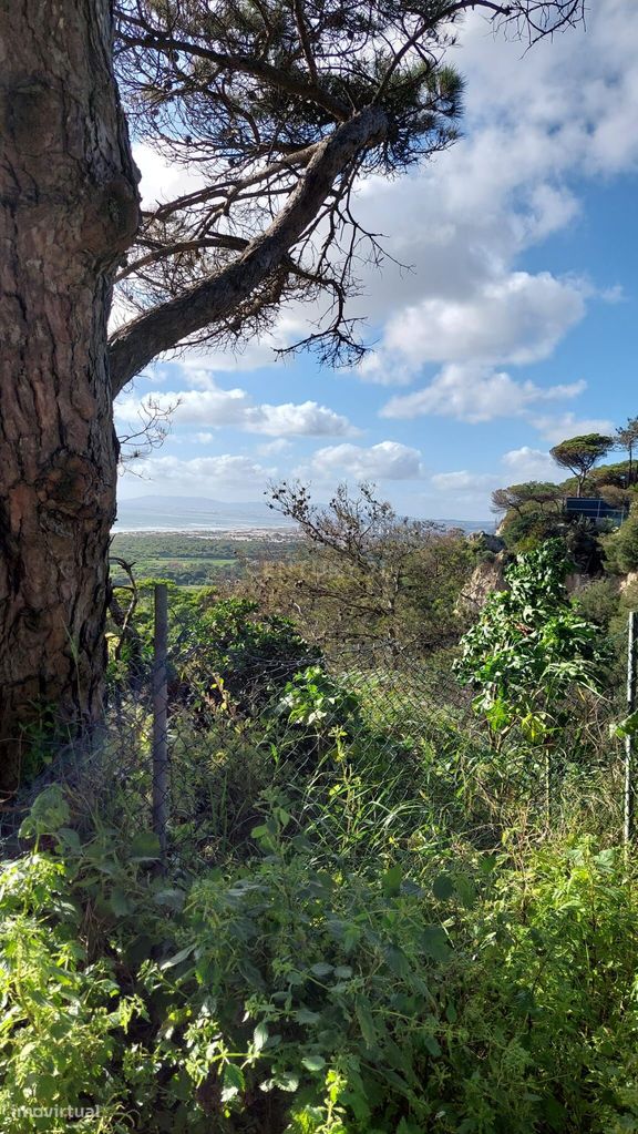 Terreno com 384 m2 situado em Vale Cavala C. Da Caparica