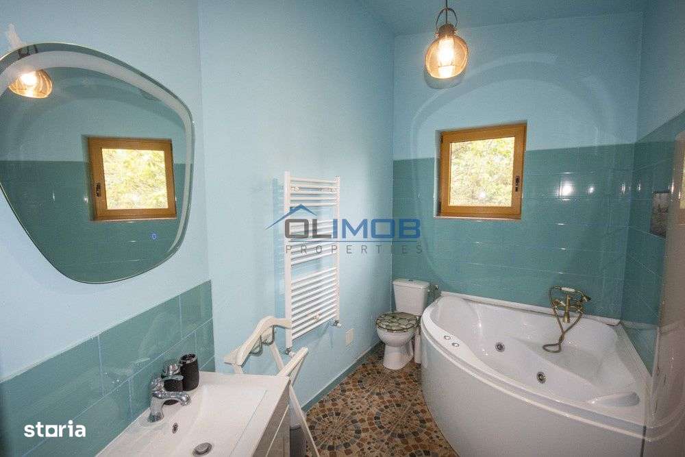 Vanzare Vila cu Personalitate – Zona Tudor Vladimirescu | Langa Pala-12