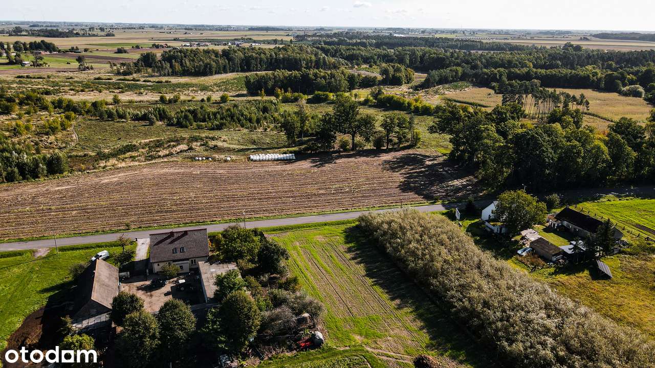 Nowy Folwark, gm. Września, pow. wrzesiński, woj. wielkopolskie-9