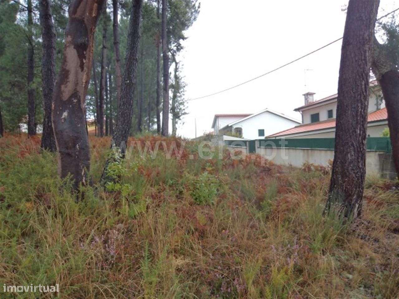 Terreno - Grande imagem: 3/8