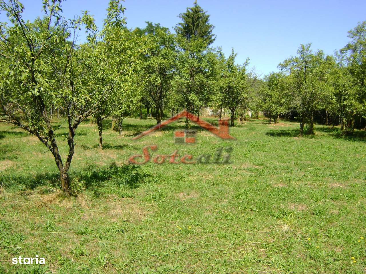 Teren  de vanzare Cornu 1919 mp-5