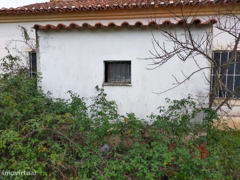 QUINTA COM 5HA DE TERRENO COM 500M2 URBANO - GALVEIAS - PONTE DE SOR-11