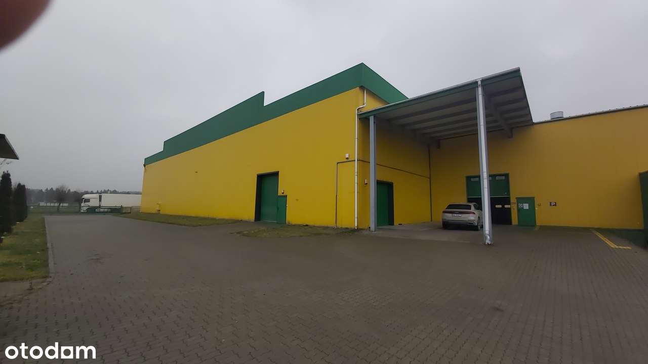 Hala 4500m  ,BEZOŚREDNIO. Biura + 3 hale na działce-4