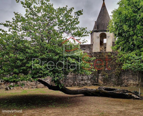 Terreno com Benfeitoria - Alcácer do Sal - Torrão