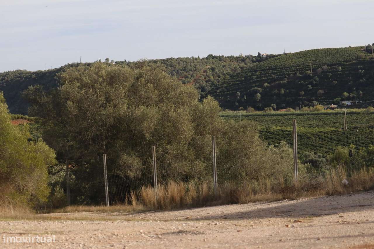 Terreno Urbano de 19.065 m2 com Alvará Aprovado | Silves - Grande imagem: 5/47