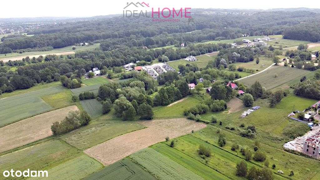 Działka na sprzedaż Słocina- 0,93ha - Pełny obrazek: 4/9