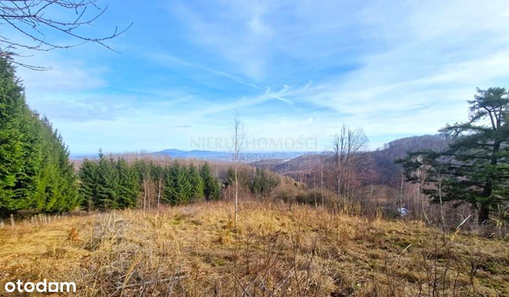 Duża działka inwestycyjno-budowlana/Góry Sowie! - Pełny obrazek: 5/15