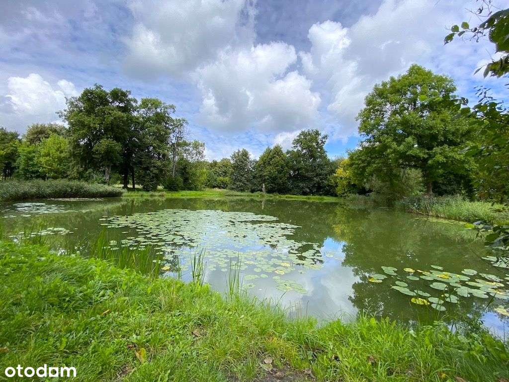 Działka w pięknej okolicy przyrody !!!-5