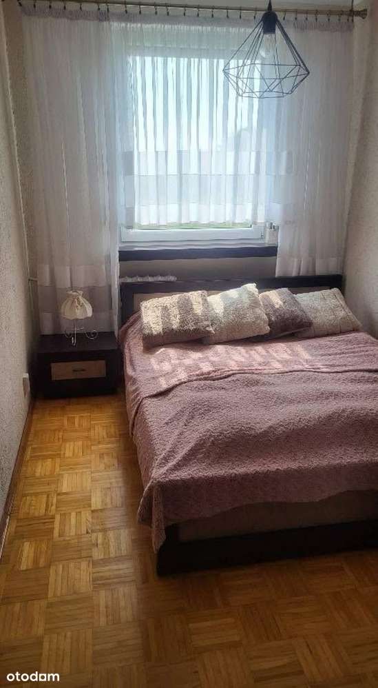 M-4 na Wynajem Parter - Pełny obrazek: 5/12