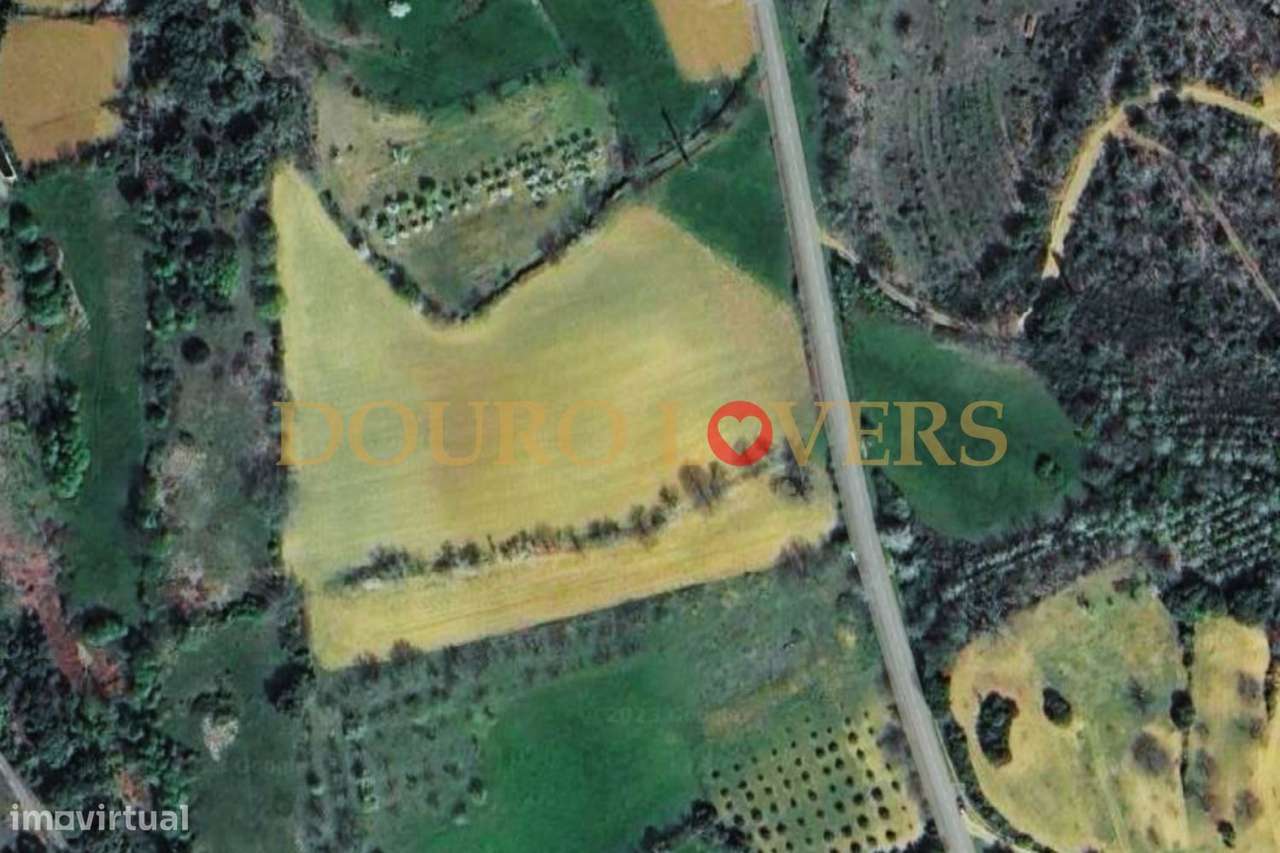 Terreno Agrícola para venda em Conlelas, Bragança - Grande imagem: 5/9