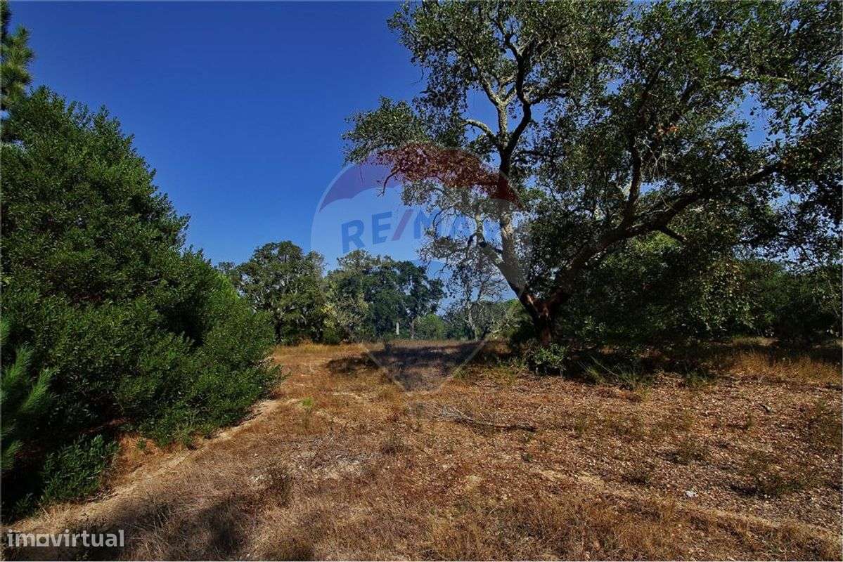 Terreno  para venda - Grande imagem: 4/9