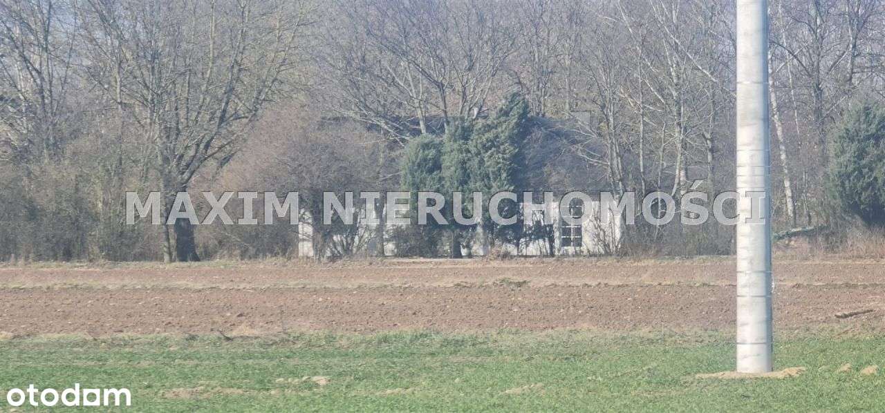 Piękne działki Gostolin gm Załuski - Pełny obrazek: 4/11