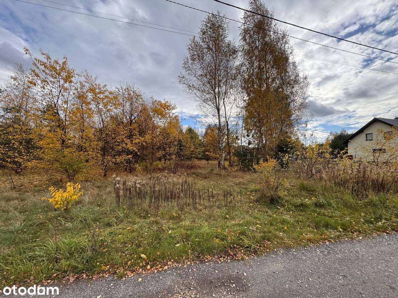 Działka budowlana 2643 m² w malowniczym Zendku - Pełny obrazek: 4/5