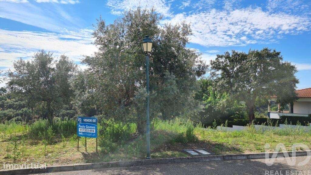 Terreno em Chamusca e Pinheiro Grande de 647,00 m2 - Grande imagem: 3/11