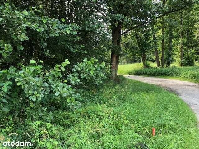 Atrakcyjna działka budowlana – Santocko - Pełny obrazek: 5/9