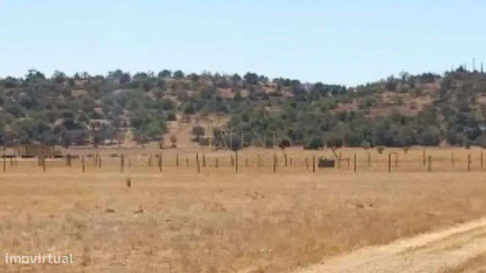 TERRENO RUSTICO VARZEA DO POÇO DA FIGUEIRA - Grande imagem: 4/32